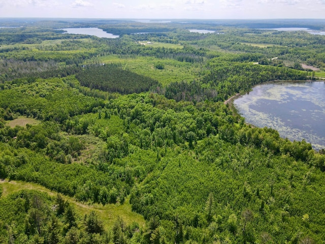 TBD Guile Lake Rd, Cohasset, MN 55721 - photo 15
