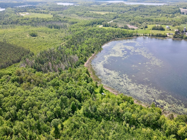 TBD Guile Lake Rd, Cohasset, MN 55721 - photo 16