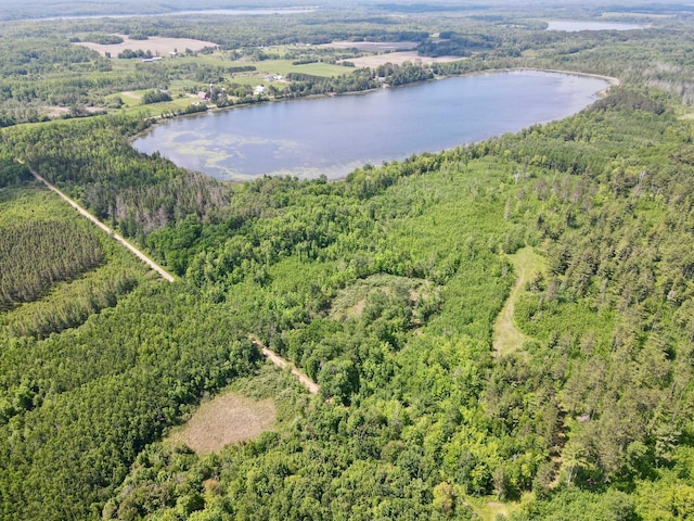TBD Guile Lake Rd, Cohasset, MN 55721 - photo 18