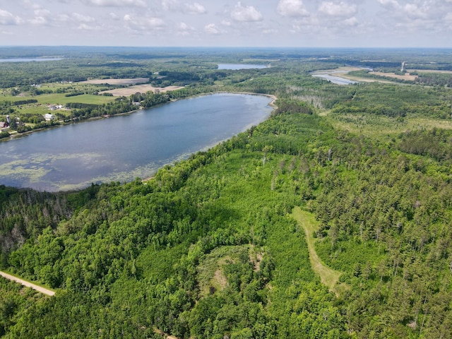 TBD Guile Lake Rd, Cohasset, MN 55721 - photo 19