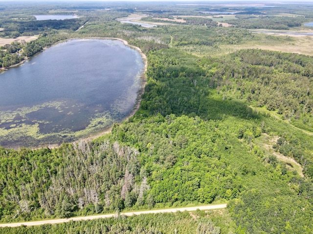 TBD Guile Lake Rd, Cohasset, MN 55721 - photo 20
