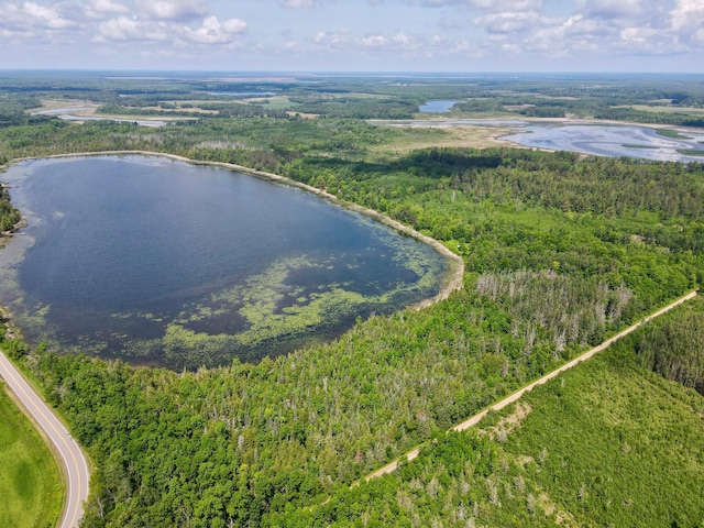 TBD Guile Lake Rd, Cohasset, MN 55721 - photo 21