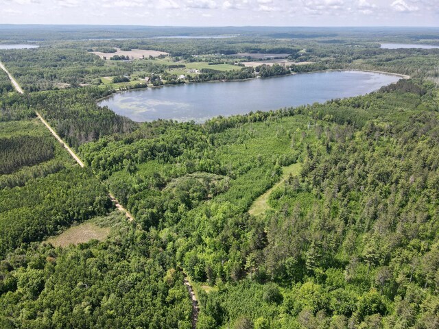 TBD Guile Lake Rd, Cohasset, MN 55721 - photo 22