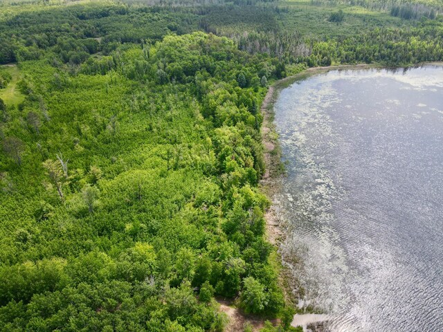 TBD Guile Lake Rd, Cohasset, MN 55721 - photo 23