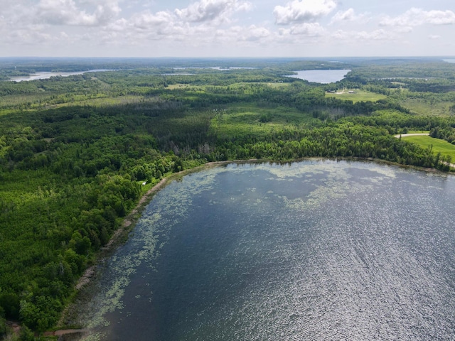 TBD Guile Lake Rd, Cohasset, MN 55721 - photo 24