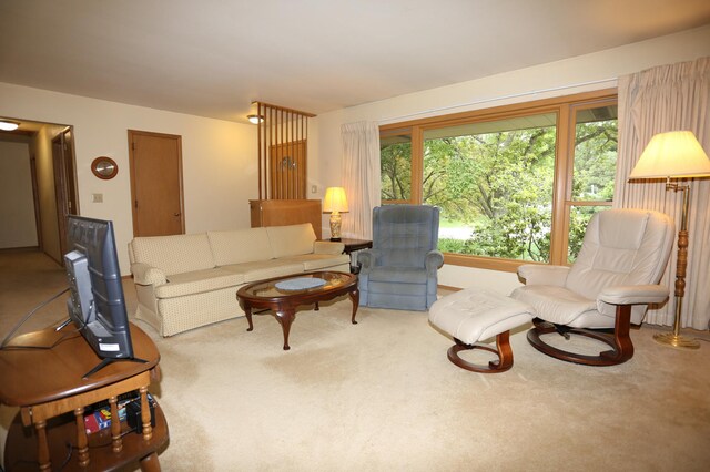 1986 Sharondale Ave, Roseville, MN 55113 - photo 13