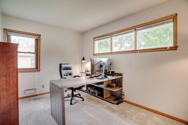 1030 Idaho Ave N, Golden Valley, MN 55427 - home office featuring baseboards and carpet floors