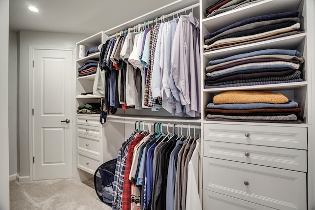 1030 Idaho Ave N, Golden Valley, MN 55427 - walk in closet featuring carpet floors