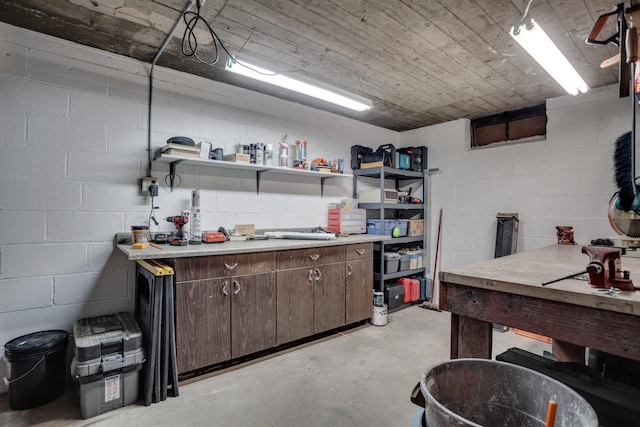 1030 Idaho Ave N, Golden Valley, MN 55427 - below grade area featuring a workshop area and concrete block wall