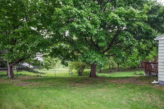 1030 Idaho Ave N, Golden Valley, MN 55427 - view of yard