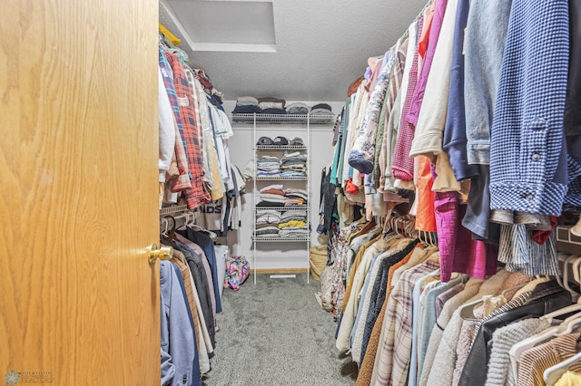 1421 55th Ave S, Fargo, ND 58104 - spacious closet featuring attic access and carpet flooring