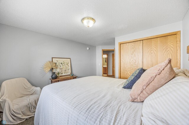 1421 55th Ave S, Fargo, ND 58104 - bedroom with a closet and a textured ceiling
