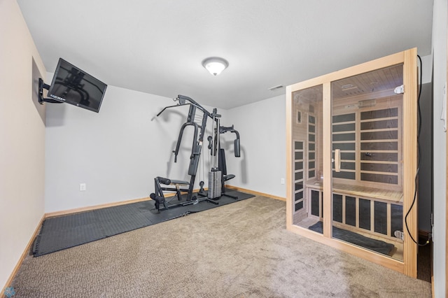 1421 55th Ave S, Fargo, ND 58104 - workout area featuring baseboards and carpet flooring