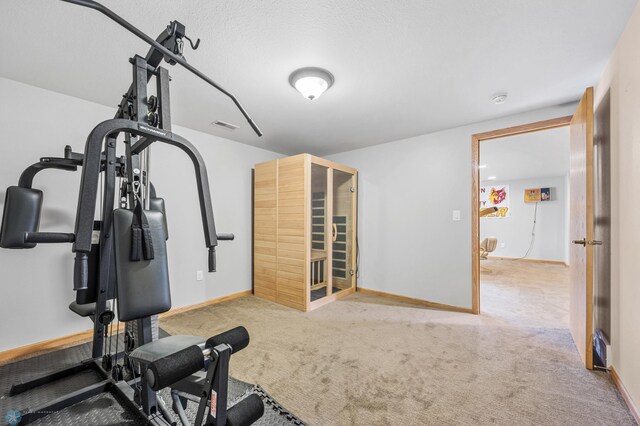 1421 55th Ave S, Fargo, ND 58104 - exercise area featuring carpet flooring and baseboards