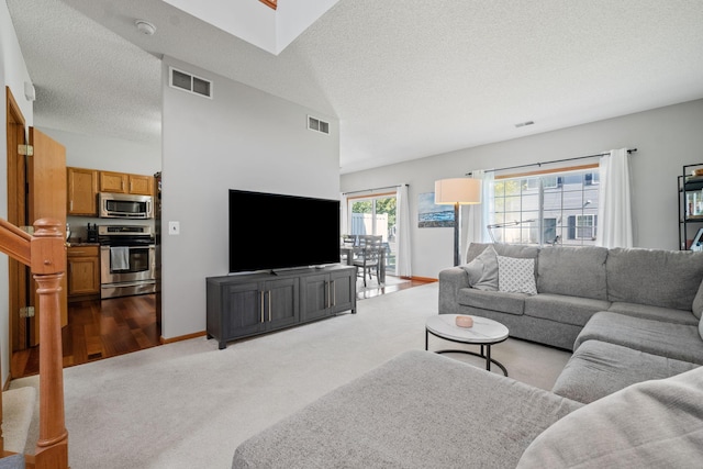 1343 Yorkshire Ln, Shakopee, MN 55379 - living area with carpet and a textured ceiling