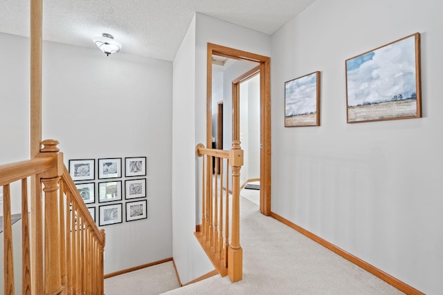 1343 Yorkshire Ln, Shakopee, MN 55379 - hall featuring an upstairs landing, carpet flooring, and a textured ceiling