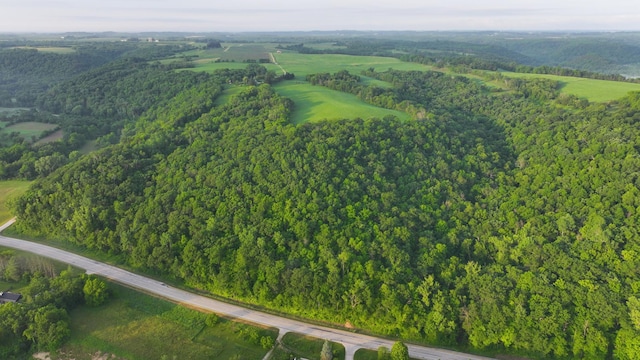 TBD State Highway 16, Lanesboro, MN 55949 - photo 2