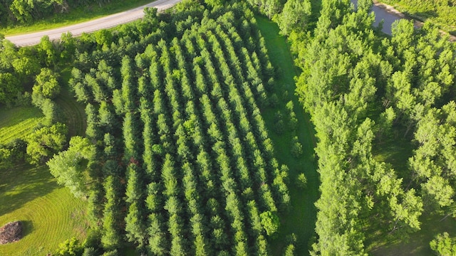 TBD State Highway 16, Lanesboro, MN 55949 - photo 10