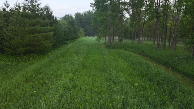 TBD State Highway 16, Lanesboro, MN 55949 - photo 33