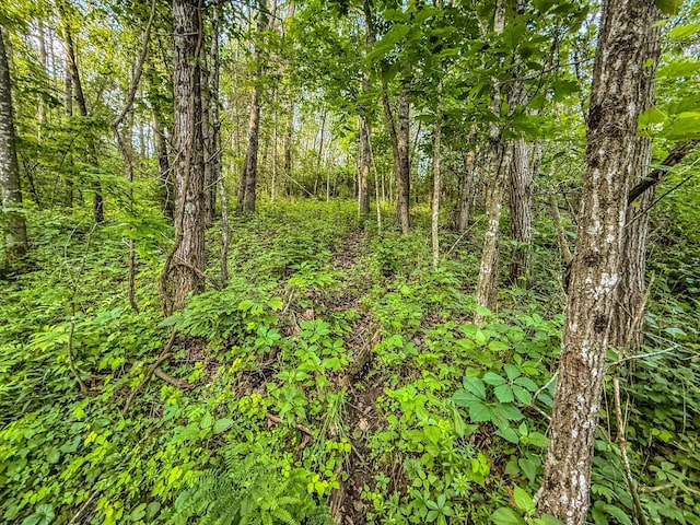 TBD State Highway 16, Lanesboro, MN 55949 - photo 50