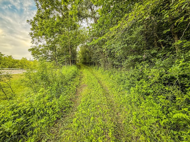 TBD State Highway 16, Lanesboro, MN 55949 - photo 51