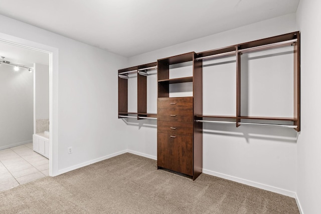408 1st St Unit 310, Minneapolis, MN 55401 - spacious closet featuring light carpet and light tile patterned floors