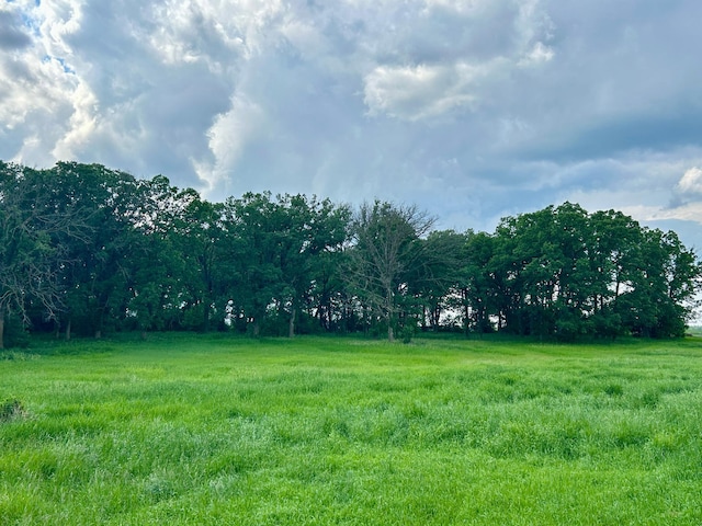 31231 568th Ave, Deer Creek Twp, MN 56527 - view of yard featuring a view of countryside