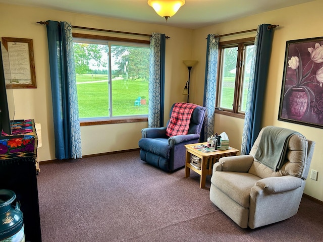 31231 568th Ave, Deer Creek Twp, MN 56527 - sitting room with carpet and healthy amount of natural light