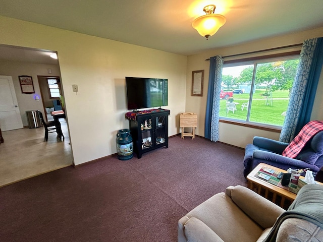 31231 568th Ave, Deer Creek Twp, MN 56527 - living room featuring healthy amount of natural light and dark carpet