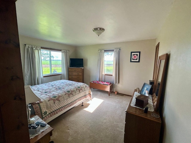 31231 568th Ave, Deer Creek Twp, MN 56527 - bedroom featuring multiple windows and carpet floors