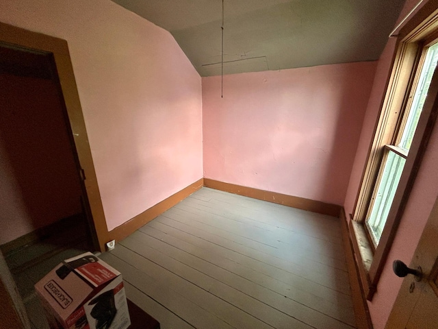 31231 568th Ave, Deer Creek Twp, MN 56527 - unfurnished room with vaulted ceiling