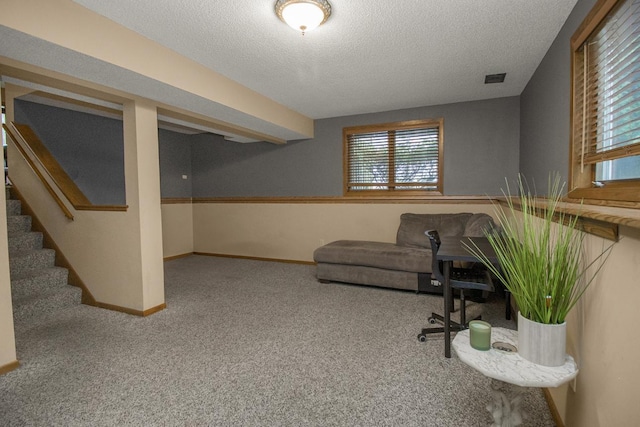 2246 Vivian Ln, Saint Paul, MN 55119 - office area with plenty of natural light, a textured ceiling, and carpet floors