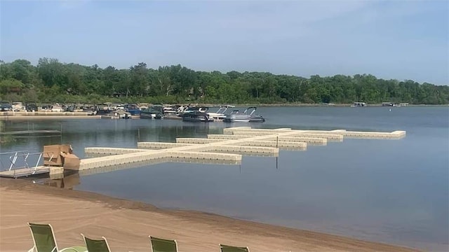 30370 Bear Claw Path, Breezy Point, MN 56472