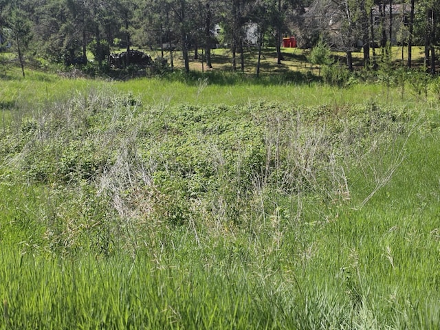TBD 1st Ave, Breezy Point, MN 56472
