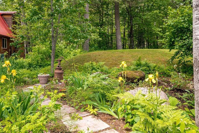2562 Eskeli Rd, Makinen, MN 55763 - photo 34