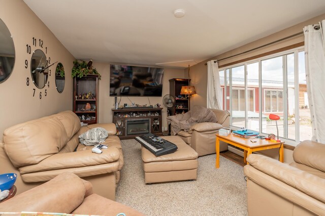 33406 151st Ave, Montgomery, MN 56069 - living room featuring baseboard heating