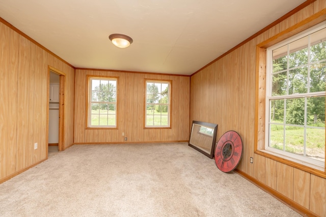 33406 151st Ave, Montgomery, MN 56069 - empty room with healthy amount of natural light, carpet floors, ornamental molding, and wooden walls