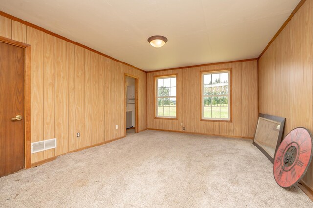 33406 151st Ave, Montgomery, MN 56069 - carpeted empty room with ornamental molding and wood walls