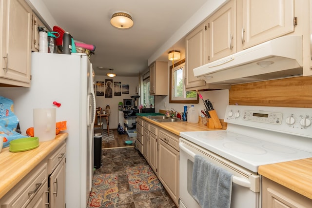 33406 151st Ave, Montgomery, MN 56069 - photo 24