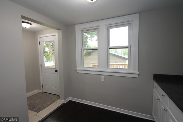 209 Cleveland St SW, Silver Lake, MN 55381 - entryway with baseboards