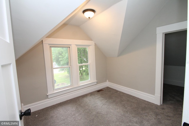 209 Cleveland St SW, Silver Lake, MN 55381 - additional living space featuring carpet flooring and vaulted ceiling