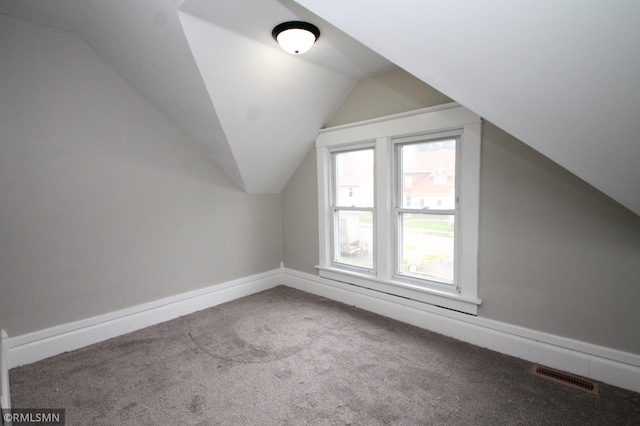 209 Cleveland St SW, Silver Lake, MN 55381 - bonus room with carpet flooring and lofted ceiling