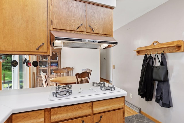 20240 Saint Croix Trl N, Scandia, MN 55073 - kitchen featuring under cabinet range hood, white gas cooktop, light countertops, and light wood-type flooring