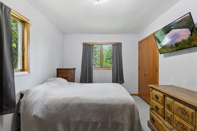 20240 Saint Croix Trl N, Scandia, MN 55073 - bedroom featuring multiple windows and a textured ceiling