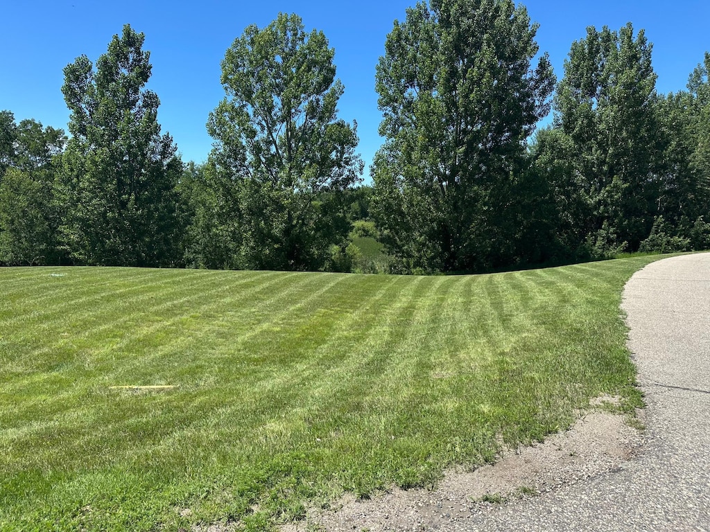 TBD Pinewood Ln NE, Alexandria Twp, MN 56308 - photo 2