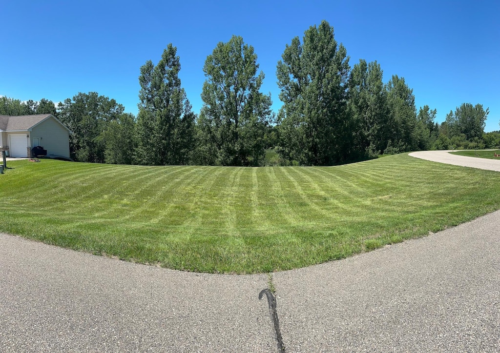 TBD Pinewood Ln NE, Alexandria Twp, MN 56308 - photo 4