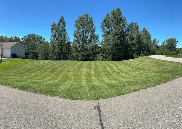 TBD Pinewood Ln NE, Alexandria Twp, MN 56308 - photo 4