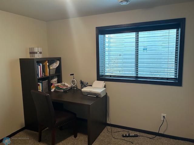 959 29th Ave W, West Fargo, ND 58078 - home office with carpet and baseboards