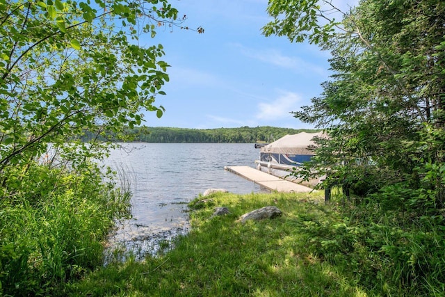 62405 Delta Lake Rd, Delta, WI 54847 - dock area with a water view and a wooded view