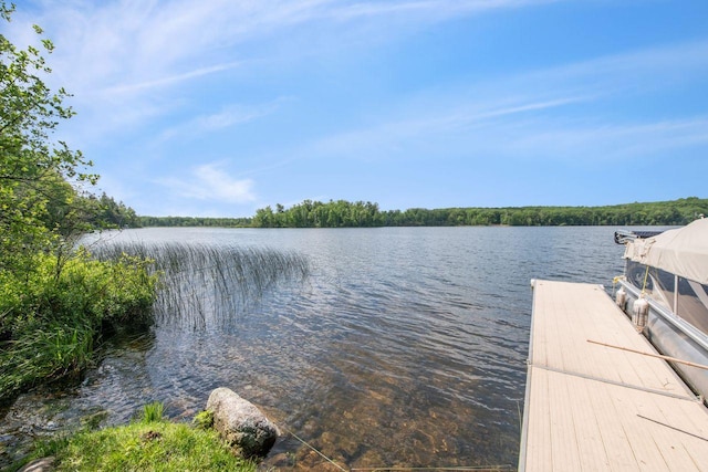 62405 Delta Lake Rd, Delta, WI 54847 - dock area featuring a water view